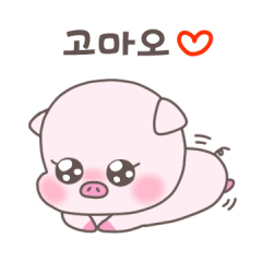 My friend cute piggykkul