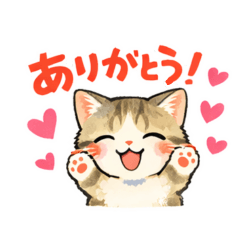 猫のマンチカン 日常会話スタンプ