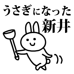 うさぎになった新井