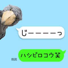 ハシビロコウの吹き出しスタンプ