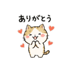 みけたん｜毎日つかえる猫スタンプ