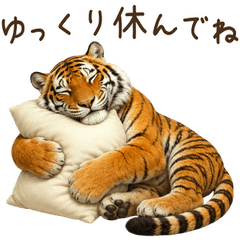 一年中使える♪トラ