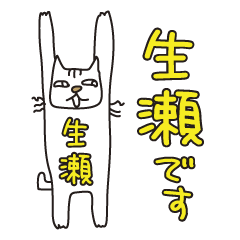 ばんざい猫 生瀬用