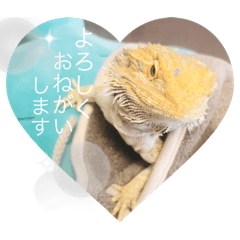 小林半目です〜日常編〜