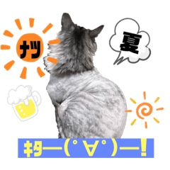 サマーなチャミの独り言