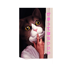 筋肉キャットの徘徊