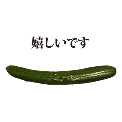 きゅうり 一本 と 敬語
