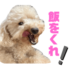 こうめの日常Part2