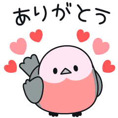 ハートがいっぱい♡まんまるインコ