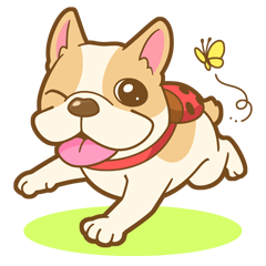 フレンチブルドッグのミルコ