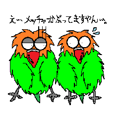 インコのぴーたん