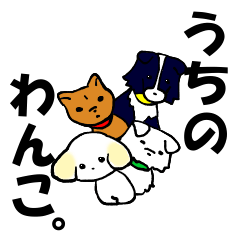 うちのわんこ。