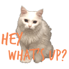 あざと動物スタンプ