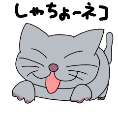 しゃちょー　ネコ