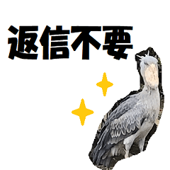 ハシビロコウたち