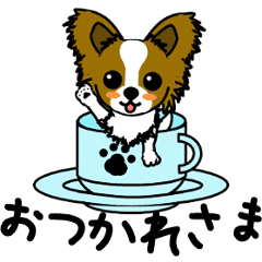 動く！パピヨンの日常[Part 2]