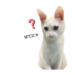 白玉さんのきもち3