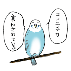 みんなクッソ笑顔