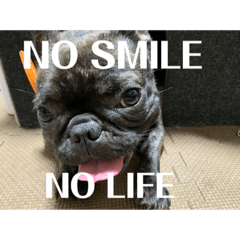 コロツクスタンプ2