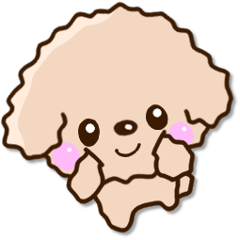 優しいトイプードル