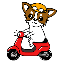 チワワのわんだふるライフ【秋編】