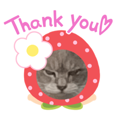 グレーちゃんの表現1