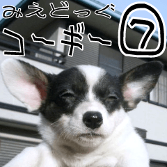 みえどっぐスタンプ コーギーカーディ編 ７