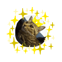 こてちゃんはるちゃん