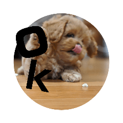 うちの犬シュウスタンプ