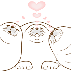 がちまるあざらし