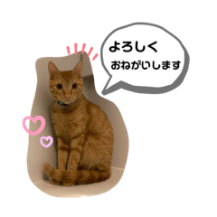 チャトランスタンプ！