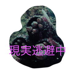 アニマル大集結