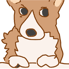 ロシコ　ドッグ