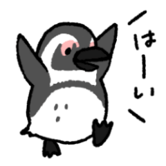 ゆるーい海のいきものたち！