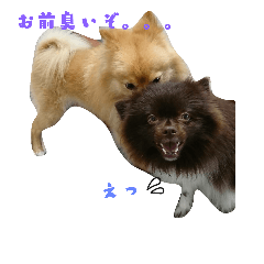 チロルとチョコの仲間たち❤️パート3