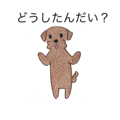 うちのいぬたち1