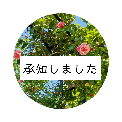 花の写真でよく使う言葉　敬語と日常