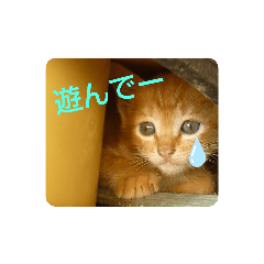 どうぶつすたんぷ関西弁