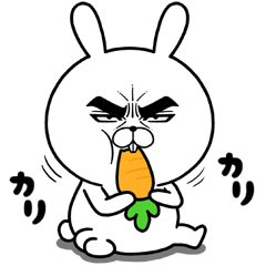 目ヂカラ☆うさぎ