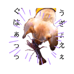 大世古BASEの仲間たち3