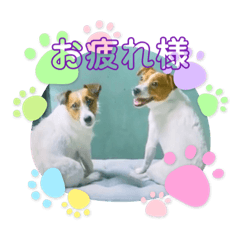 JRT三兄弟Sola Lala Haku  [LINE スタンプ]