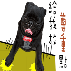 Wubao Pug
