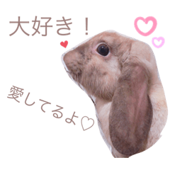 うさぎのチャチャスタンプ