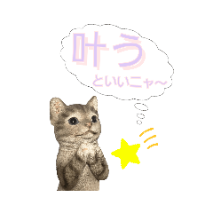 のんびりでいいじゃん