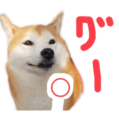 ワンコはなちゃんスタンプ