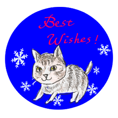 ★★年末年始★★うーりーとにゃんこたち