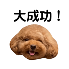 メルちゃんは神！！2