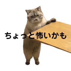 えるものスタンプおとな