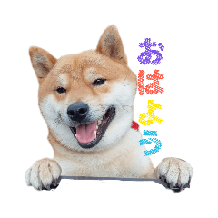 飼い犬の写真で作ったスタンプ。