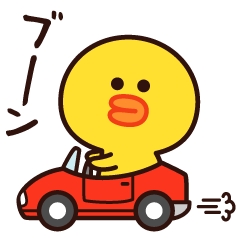 楽しく使える☆遊べるサリー